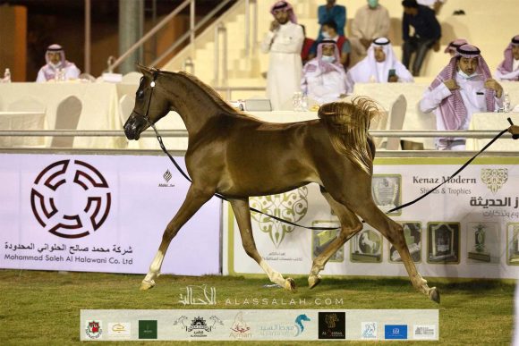 Taif 2020 1st day 32020-10-02 at 2.32.15 PM 8