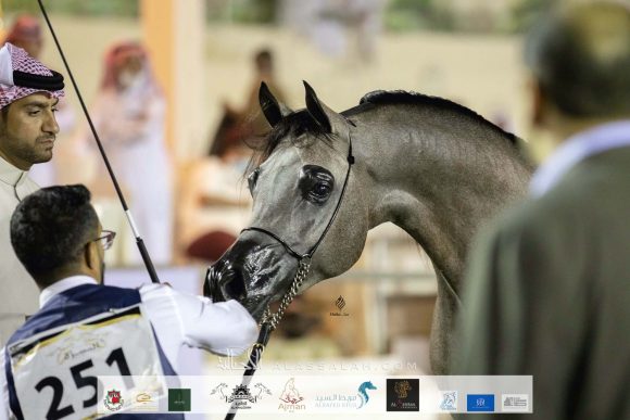 Taif 2020 2nd day 12020-10-03 at 11.21.32 AM