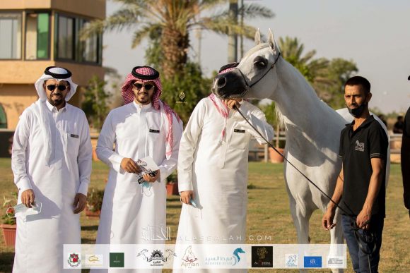 Taif 2020 2nd day 12020-10-03 at 11.21.32 AM 17