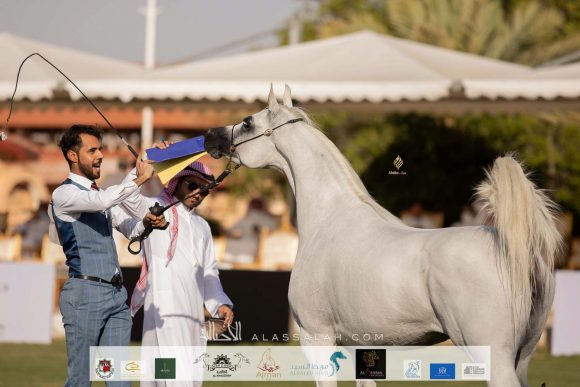 Taif 2020 2nd day 12020-10-03 at 11.21.32 AM 18