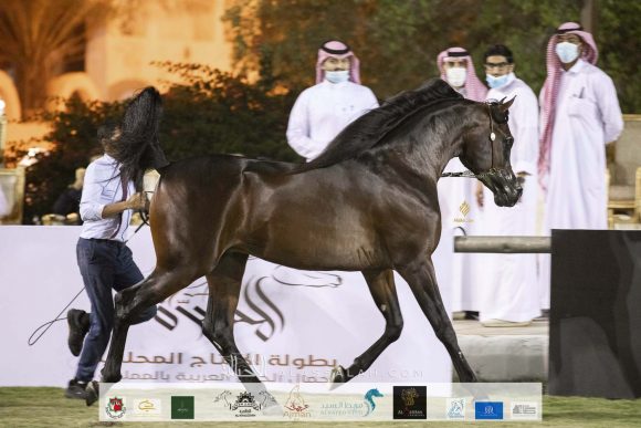 Taif 2020 2nd day 12020-10-03 at 11.21.32 AM 3