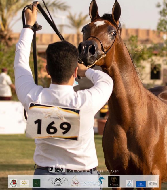 Taif 2020 2nd day 22020-10-03 at 11.29.19 AM 5