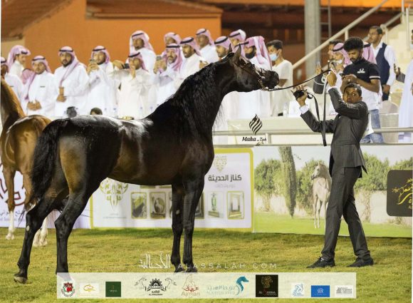 Taif 2020 3rd day 12020-10-04 at 6.30.52 PM 10