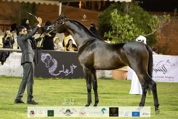 Taif 2020 3rd day 12020-10-04 at 6.30.52 PM 11