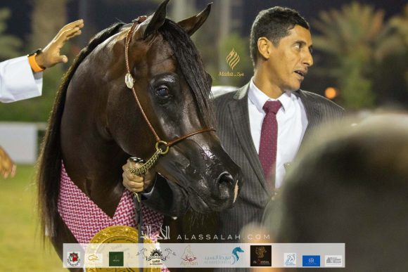 Taif 2020 3rd day 12020-10-04 at 6.30.52 PM 15