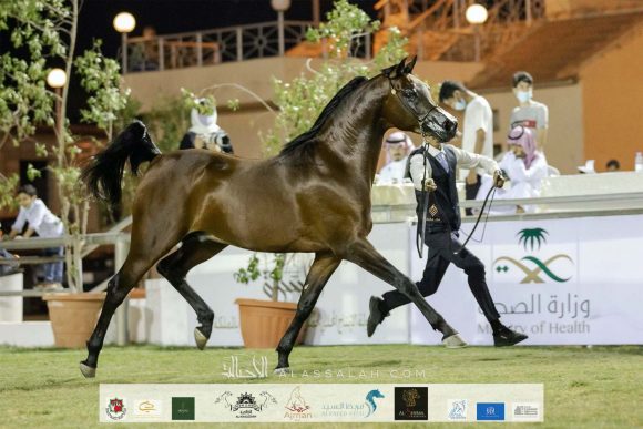 Taif 2020 3rd day 12020-10-04 at 6.30.52 PM 16