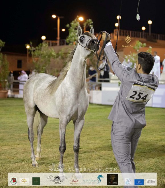 Taif 2020 3rd day 12020-10-04 at 6.30.52 PM 2