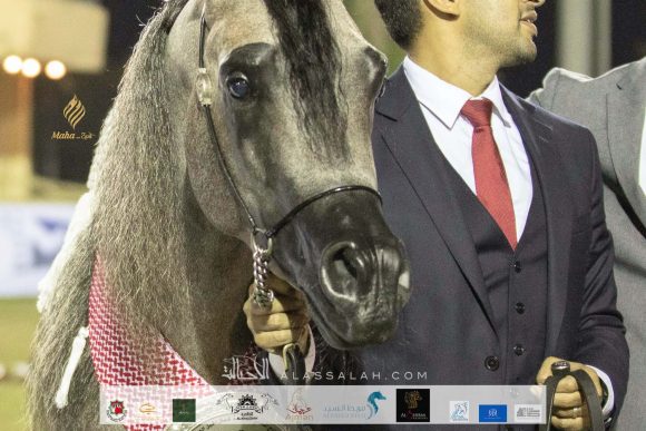 Taif 2020 3rd day 12020-10-04 at 6.30.52 PM 25