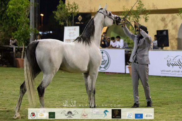 Taif 2020 3rd day 12020-10-04 at 6.30.52 PM 3