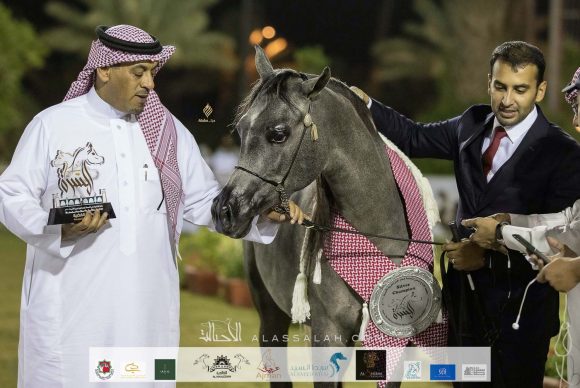 Taif 2020 3rd day 12020-10-04 at 6.30.52 PM 33