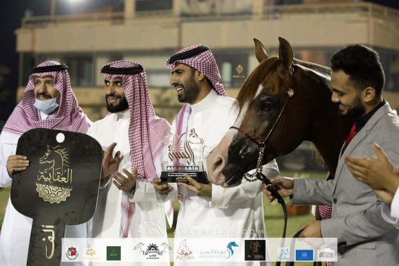 Taif 2020 3rd day 12020-10-04 at 6.30.52 PM 39