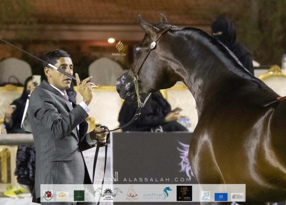 Taif 2020 3rd day 12020-10-04 at 6.30.52 PM 4