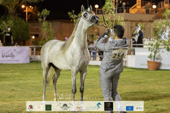 Taif 2020 3rd day 12020-10-04 at 6.30.52 PM 5