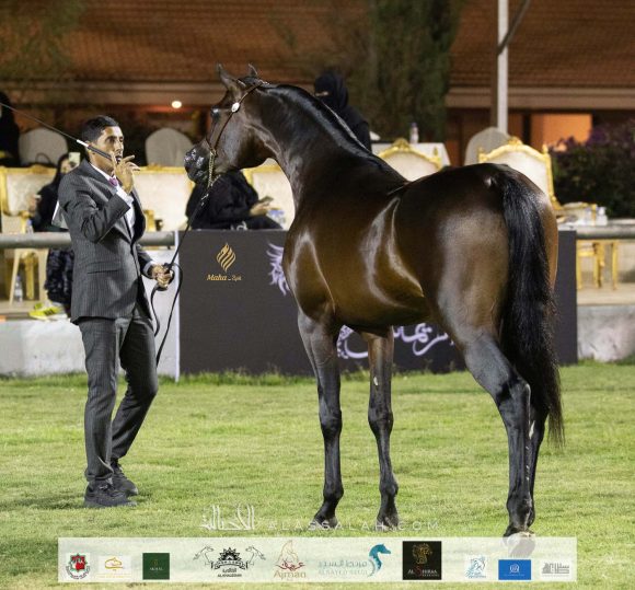 Taif 2020 3rd day 12020-10-04 at 6.30.52 PM