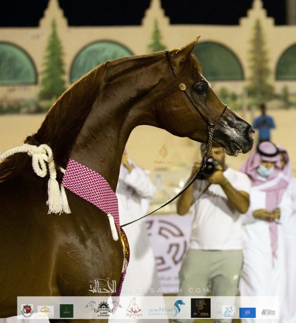 Taif 2020 3rd day 12020-10-04 at 6.30.52 PM 8