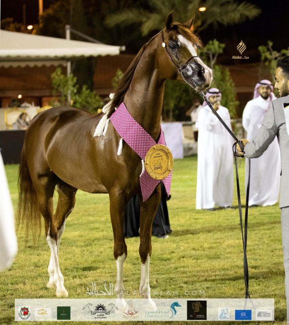 Taif 2020 3rd day 12020-10-04 at 6.30.52 PM 9