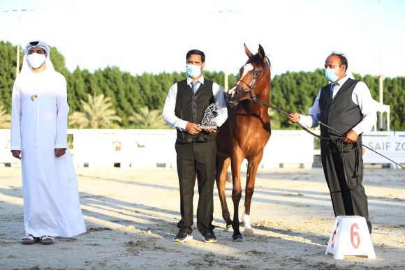 b99e8bae-aaed-476f-a22e-5794aa2578b8