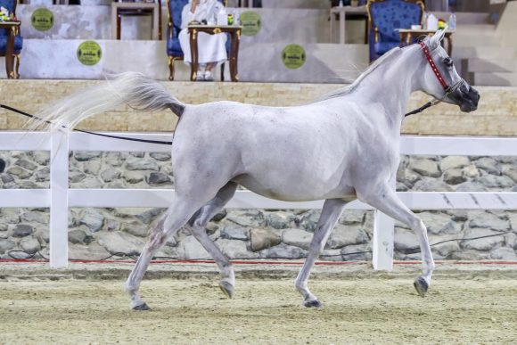 bddb0880-868b-41f7-823f-0f051fdb2cb9