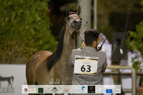 c26b380b-498a-4d43-b4c4-3f8f27edc74b