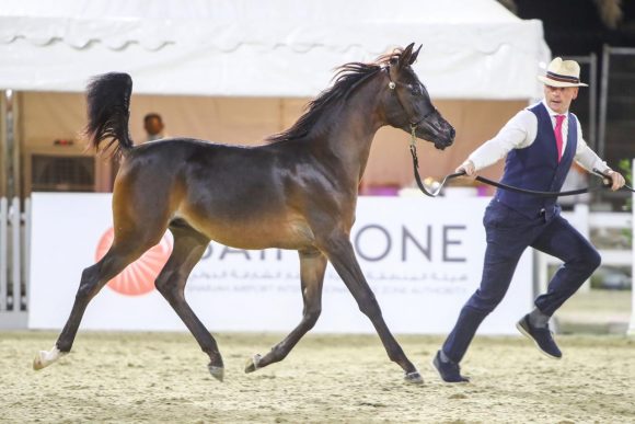 d182395f-8b07-4a6f-9999-099b64a59bea