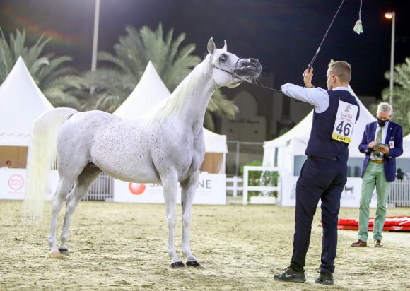 d5c63d75-37ac-4db1-bb5d-451682ed82ad