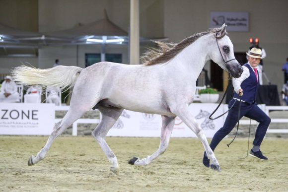 d5f7571f-be68-488c-9850-d9e7ad88a2dc