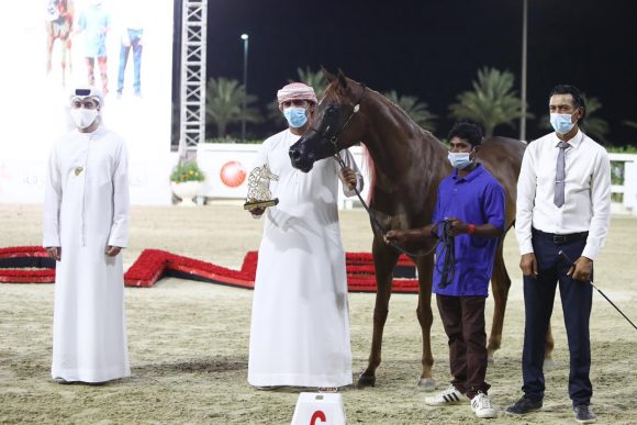 d73dddcb-ef80-468d-a1aa-77e37a83110b