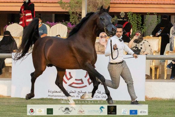 d826b0f0-c188-406d-be7e-c26f3b98a3fe