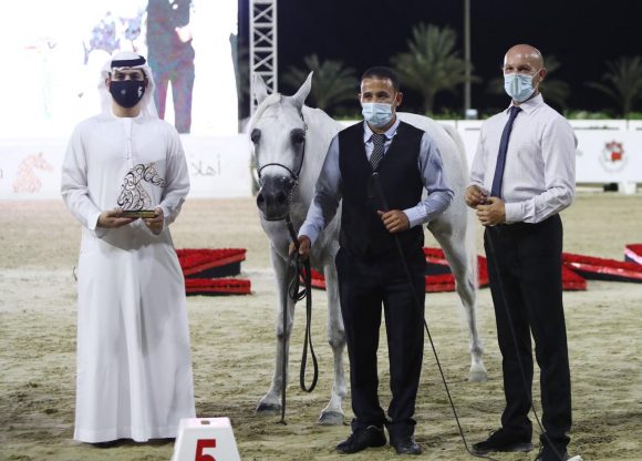 e7c059c2-ac50-437a-8c6c-e23ab70ad61b