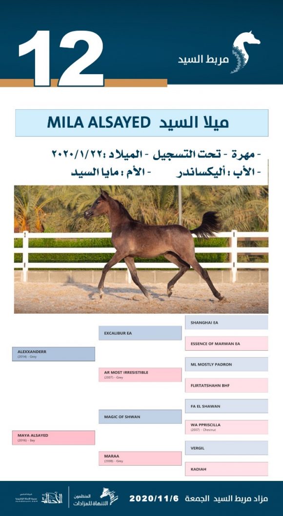 034f5559-8e74-4f81-9f86-05077bfd9cab