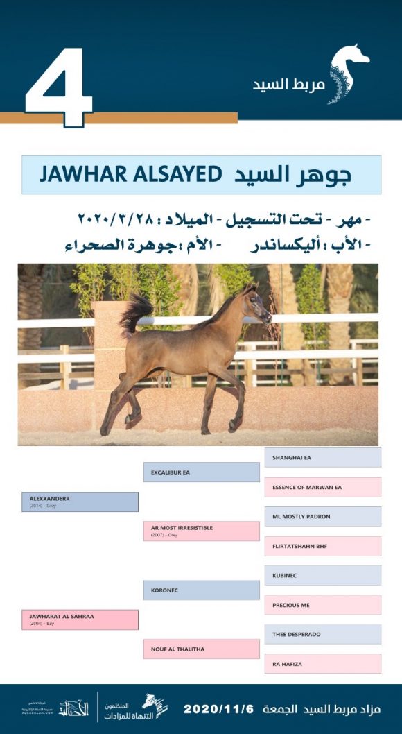 03f05f21-33e8-44a9-9453-a56fbd34d44d