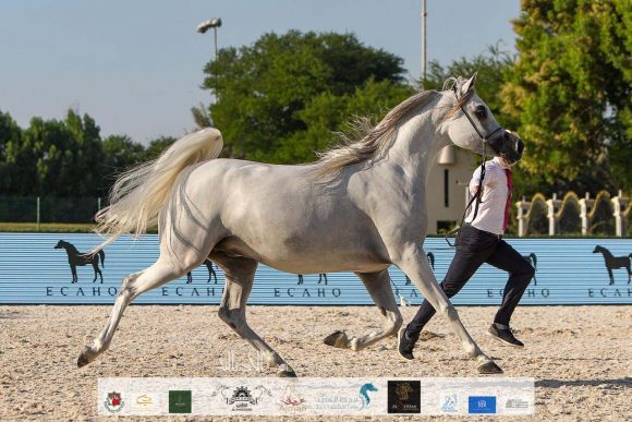 096c5255-ebde-49ff-9b69-d6eb2c9510df