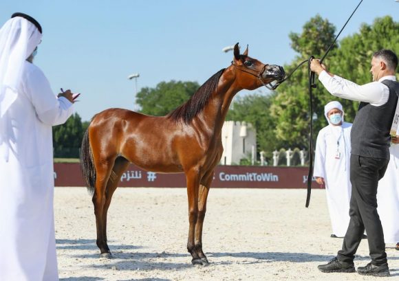 11a6f8a8-3427-4fff-8e5b-31728a7ce82d