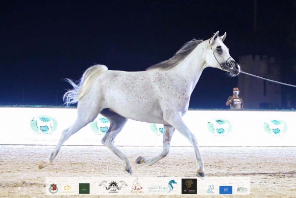 14790651-8c64-4370-aac7-2b4e9b4bd97c