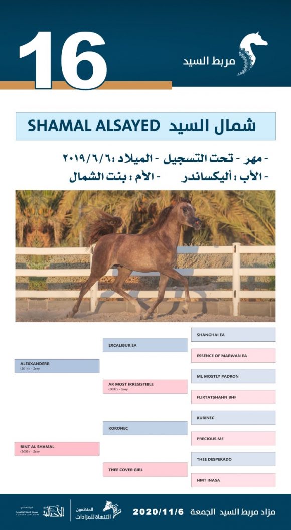 19e3a09e-e8c8-4201-9e0c-7c958a36aa23