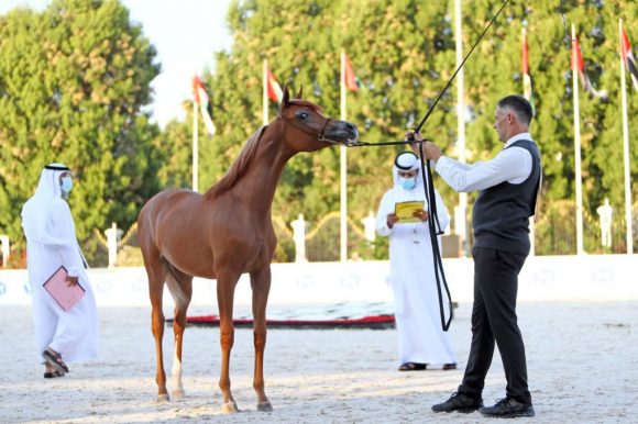 1ce60178-84ad-455a-b009-f4378859dce3