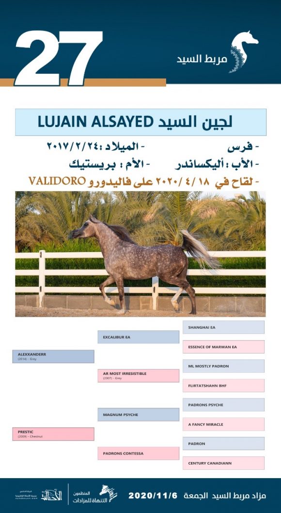 1fbfdc3b-c8d5-4f71-9c9a-aafd5314965c