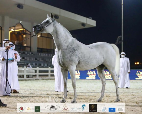 1fcfe207-ddba-4fbb-918b-c3bc6bf940fc