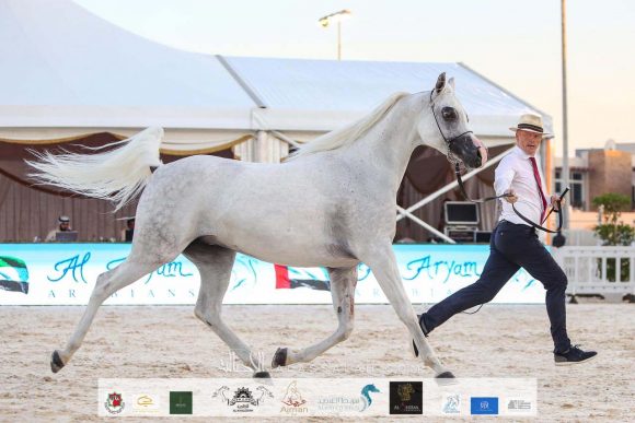 321e42b6-3597-4085-9377-5f7f5d1fabcd