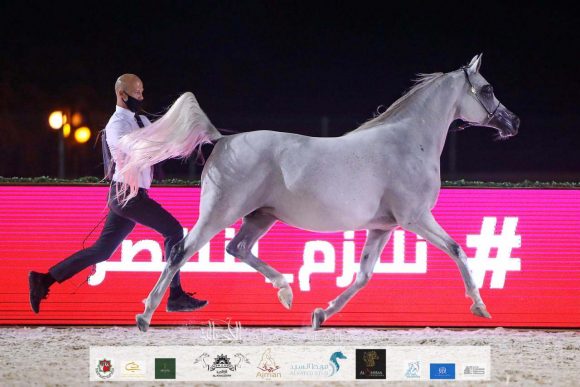 3232ba53-c048-43ae-a9a7-600015f328fc