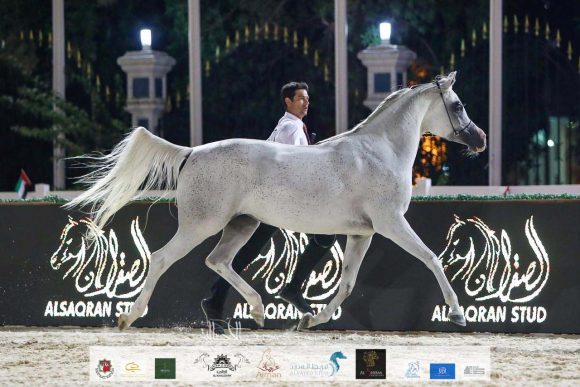 3417959a-715f-4fcd-be2e-78c1cbb81ef0