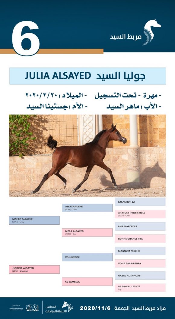 3423f0ab-d106-4ad6-893c-5b5361231fc9