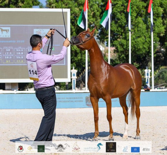 35cd0119-051a-44d6-851c-e60532372911