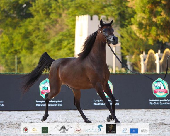 360f562e-1fd5-49f4-89df-319f5b9c82cf