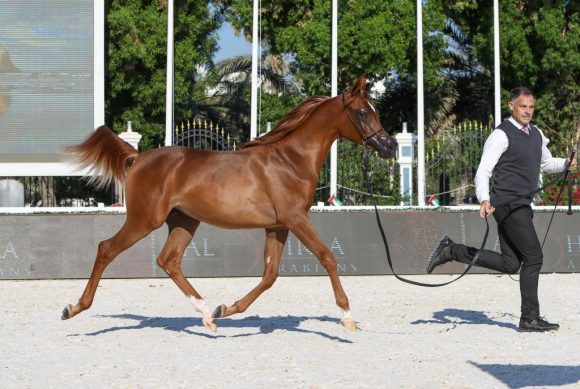 394dcb75-4f0a-4021-b5ea-8df238490522