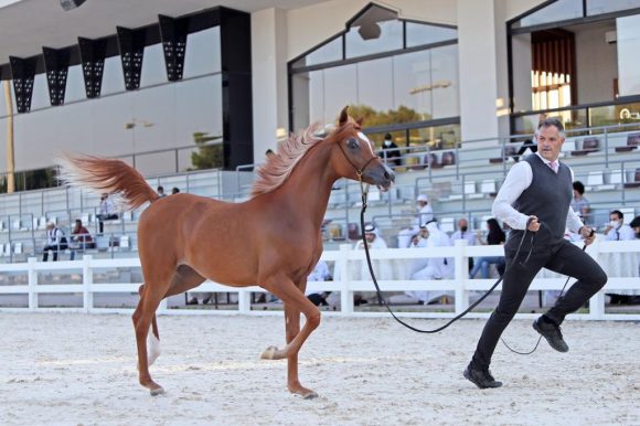 39a3395f-e203-45f6-bffd-f6499f2c2c92