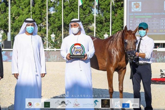 3a2c3518-b6e3-4ca8-8455-42925266faaf