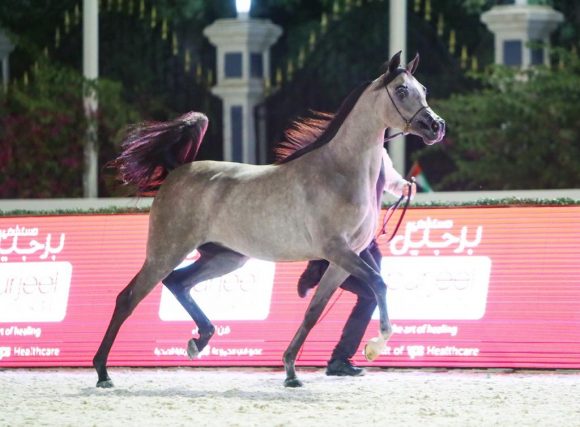 3ac4af55-6b9f-4d86-b226-26a0f0259ad2