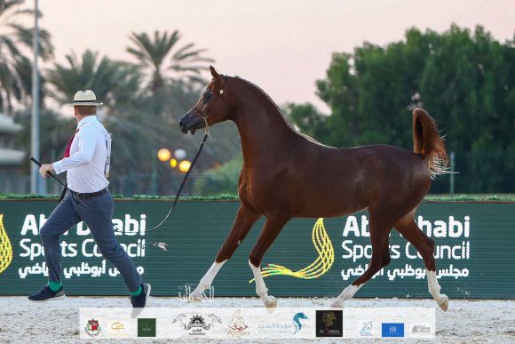 3c4478e6-3d56-4c29-b70f-a23900216df2-2