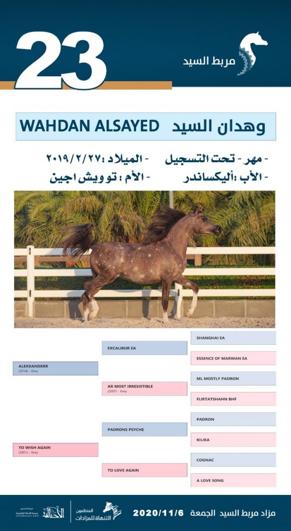 3e56813b-bc18-42fd-8a1b-8b93d9f88112